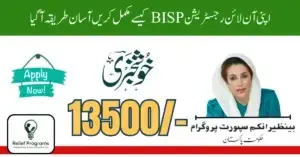 bisp eligibility check by cnic